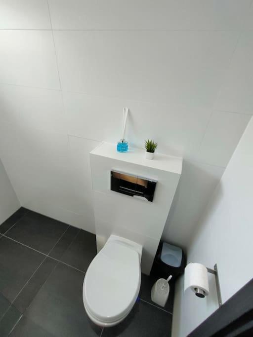 Bleu Apartment *